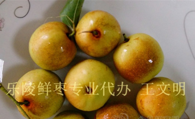 樂(lè)陵市明潤(rùn)金絲小棗購(gòu)銷(xiāo)處