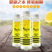 浙江江山恒亮蜂產(chǎn)品有限公司