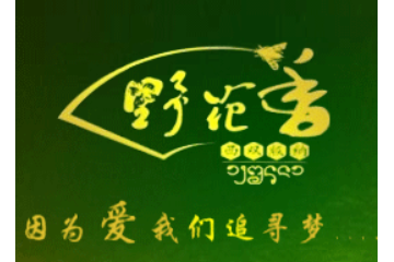 西雙版納州野花香谷蜜蜂生態(tài)園有限公司