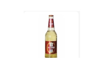 九江廬山啤酒有限公司